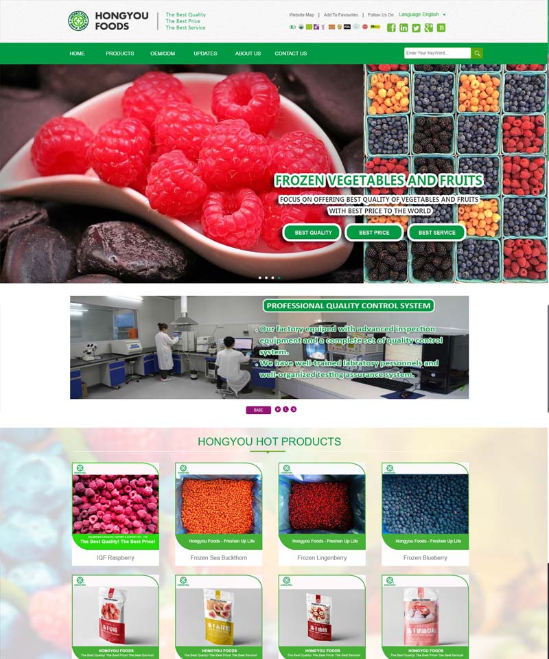 客戶案例-外貿網站